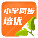 德羅讚：雷霆的穩定性凝聚力肉眼可見 攻防兩端的聯結感不可思議